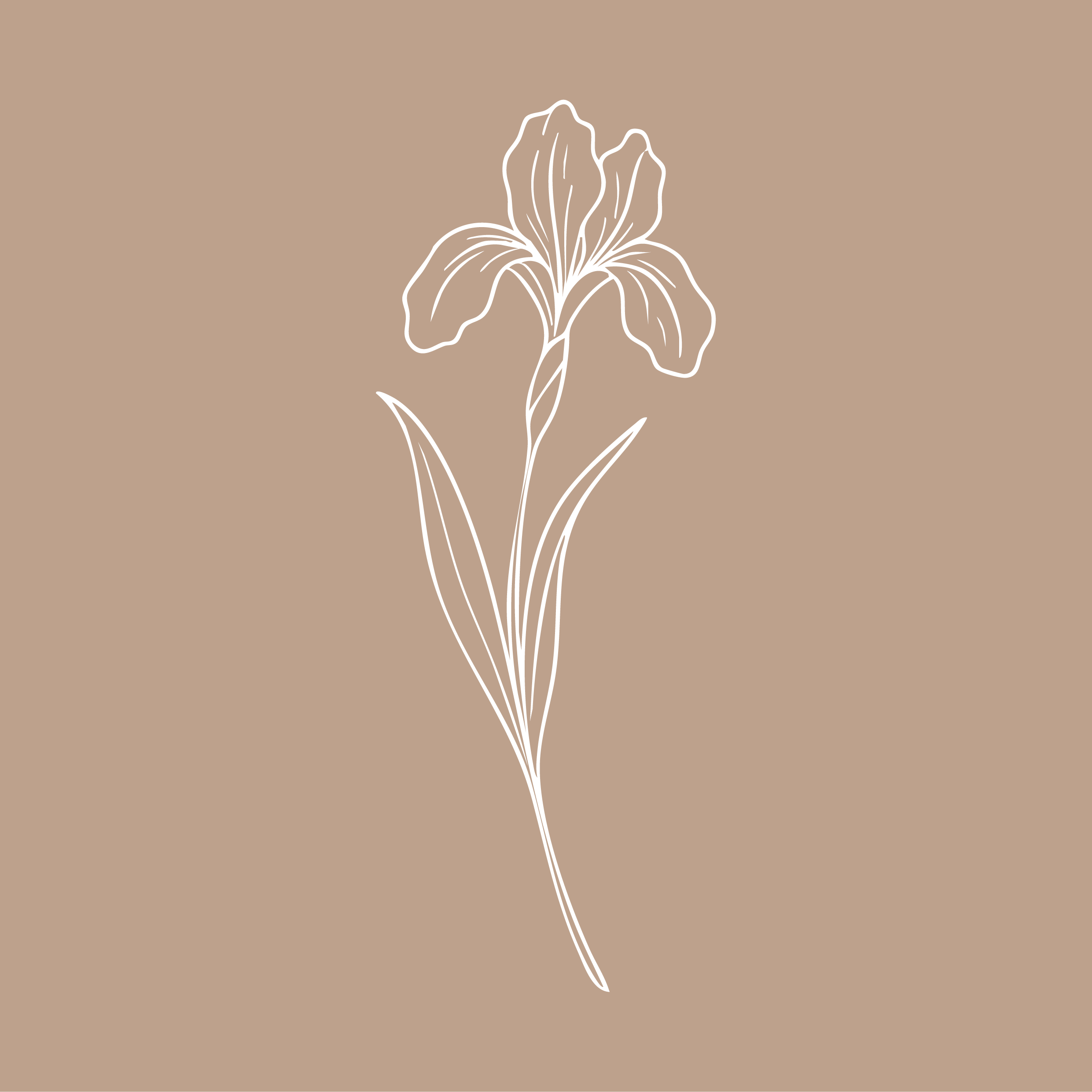 Logo design by Graphicbyindy, In Nijmegen, Netherlands